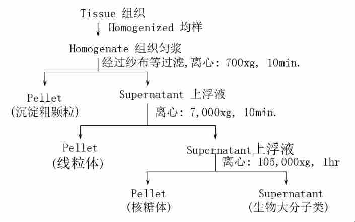 日立離心機(jī)售后電話-離心機(jī)的離心方法···