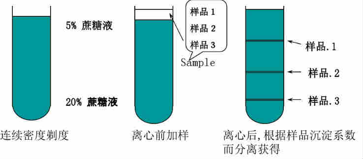 日立離心機(jī)維修電話